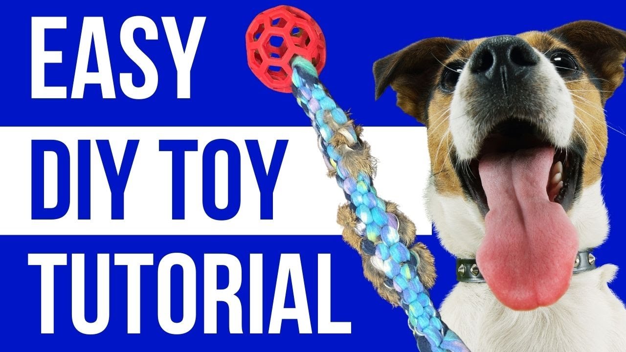 Make Your Dog a High-Value Tug Toy!