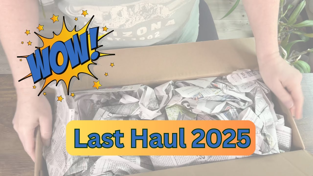Распаковка покупок Orchid Haul 2025