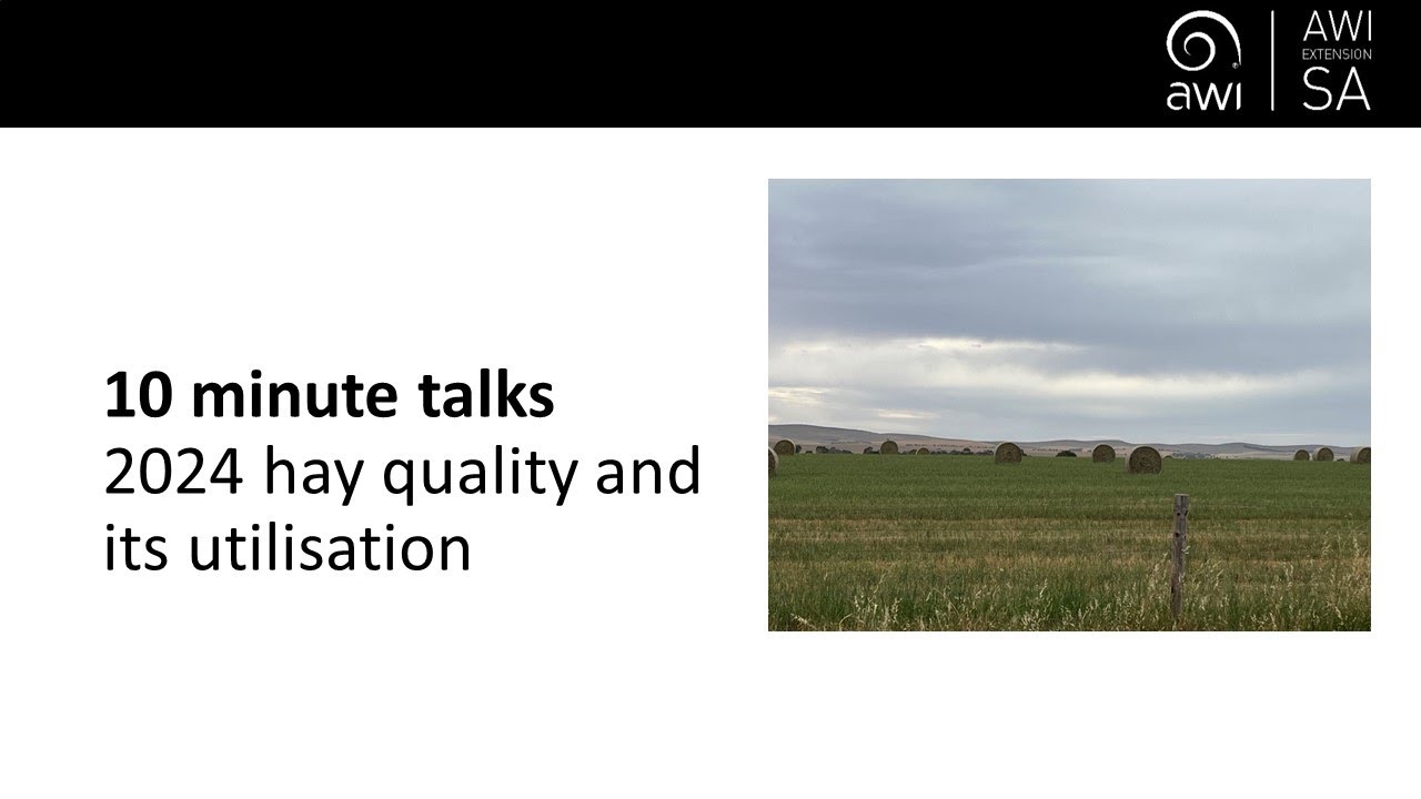 10 minute talks - 2024 hay quality and its utilisation