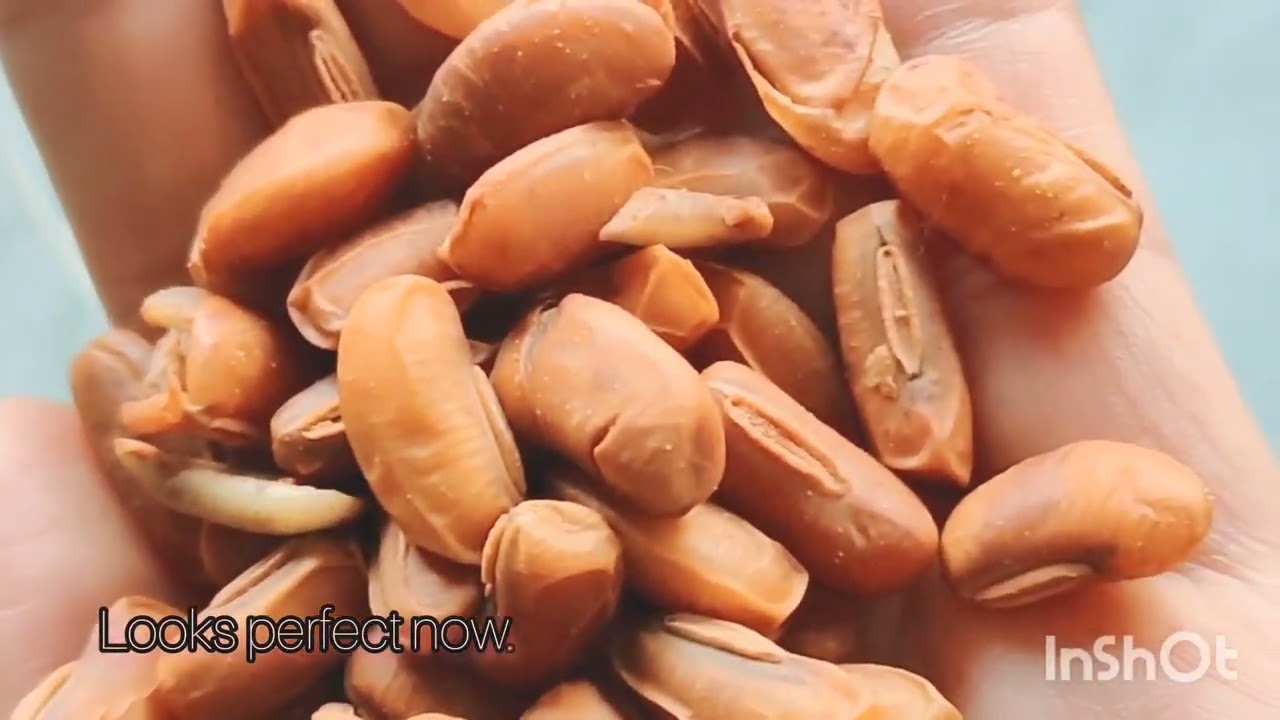 Boiled naga dal#naganess#goldentips#indigenousfood