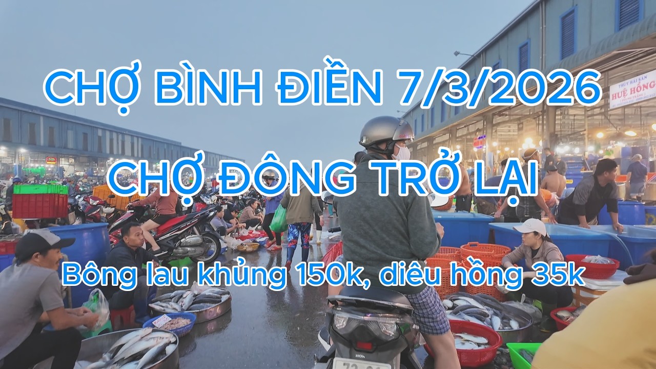 Chợ đầu mối Bình Điền chợ cá đông lại 7/3/2026 Cá diêu hồng sống 35k, trứng cá ngát 60k bông lau 150