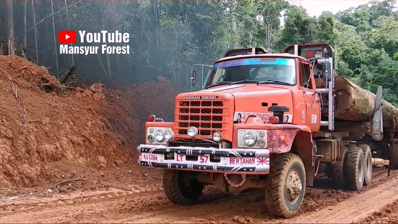 Pengobat Rindu Untuk Anda Para Pencinta Logging Truck Nissan TZ 520