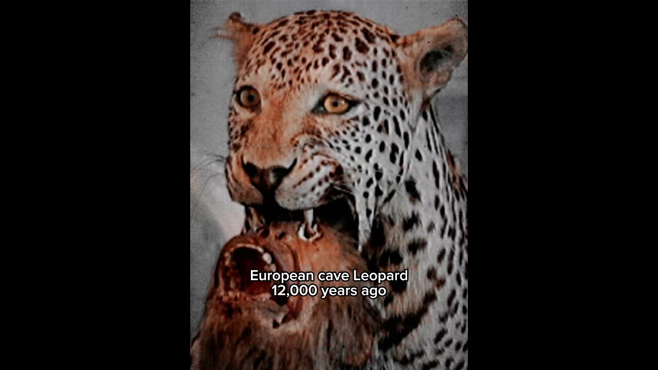 The deadliest big Cats to ever roam the earth #prehistoric #bigcats #iceage