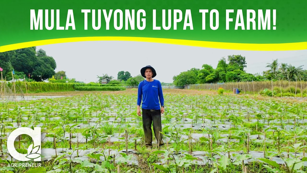 Ang Kwento ng Simula ng JB Farm