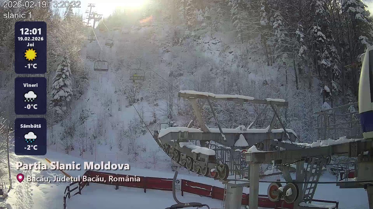 Pârții LIVE 🔴 WebcamRomania.ro | 2026-02-19 Partea 8