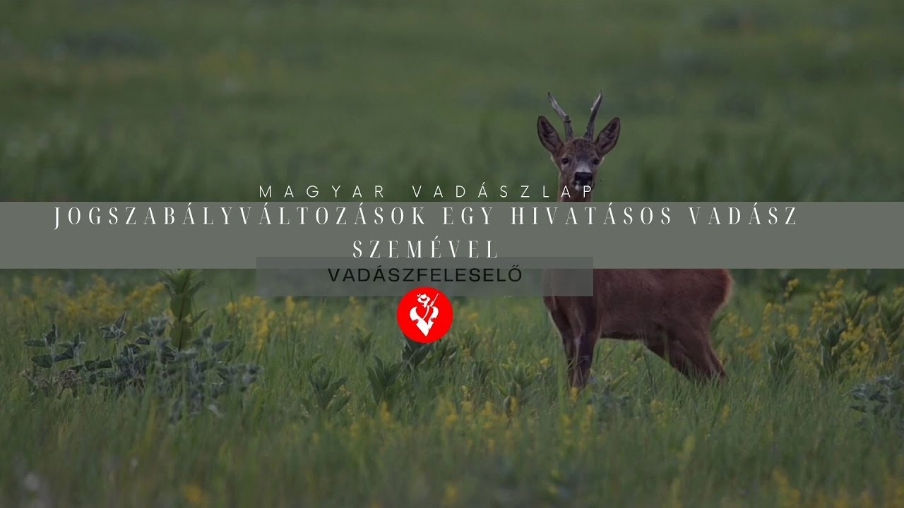 Vadászfeleselő 2/32. - A jogszabályváltozások egy hivatásos vadász szemével
