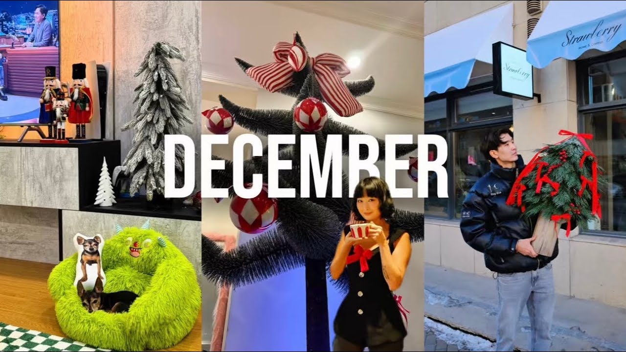 Weekly vlog (Xmas decor🎄,jangsu, events)