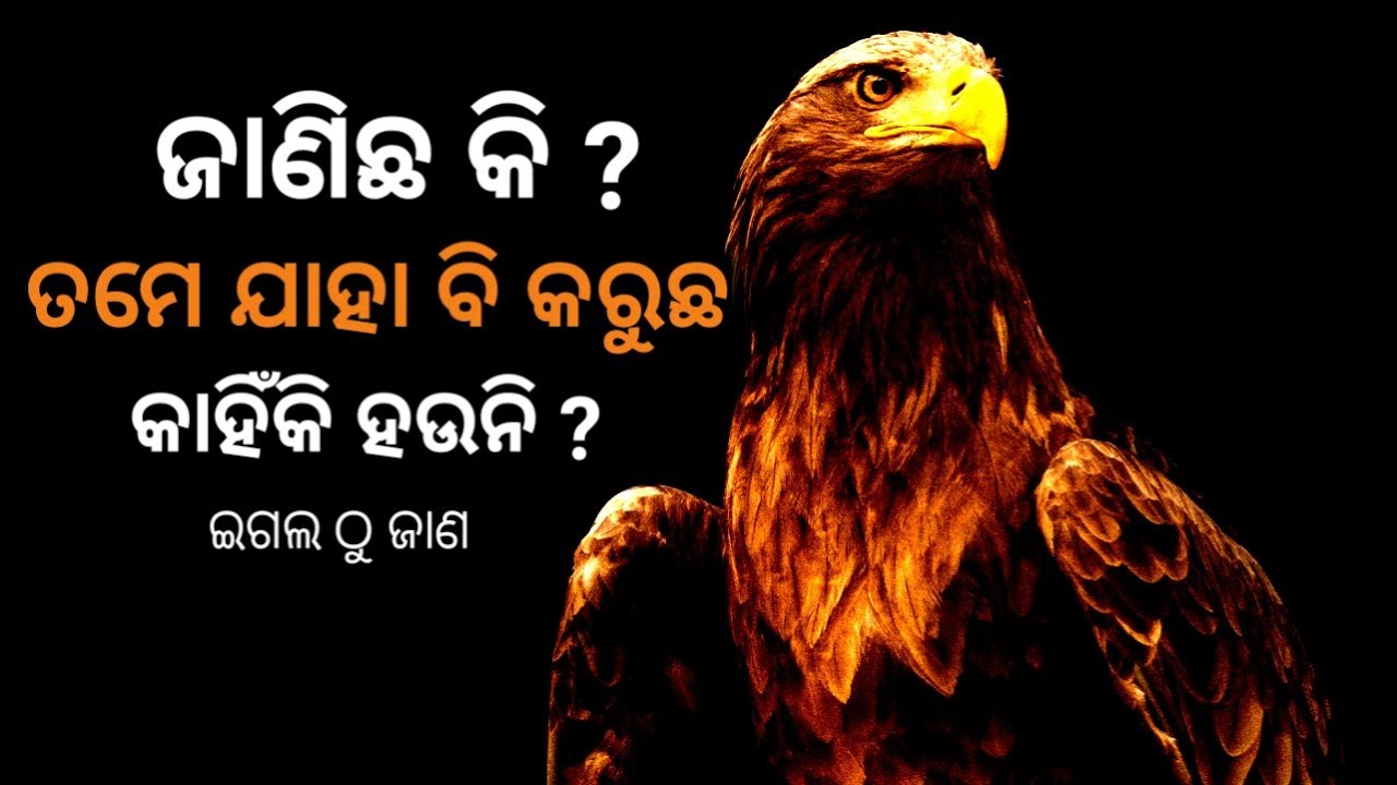 Why Does everything Fail in Odia language | Best Mind Control formula | Abhijit Odisha