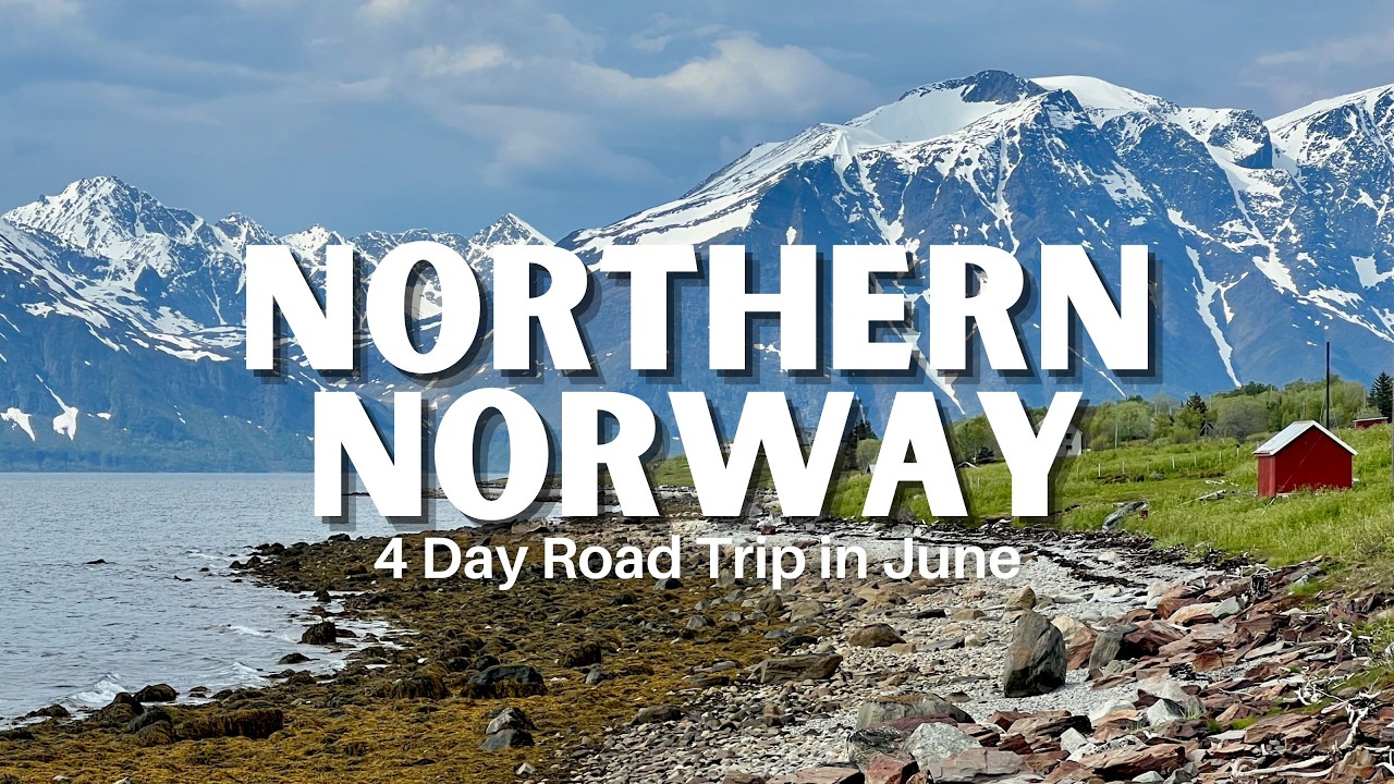 NORWAY IN JUNE! | The Best 4 Day Road Trip! (Andenes Whale Safari + North Cape Midnight Sun)