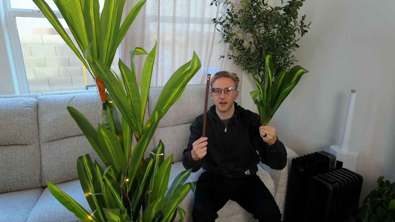 NOVAROOT 5Ft Artificial Dracaena Tree Review | Worth It?