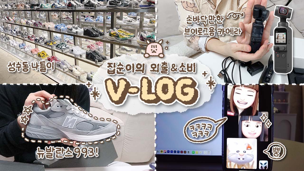 집순이의 외출&소비 ᴠ-ʟᴏɢꔛ‬♡˒˒* (feat.강쥐) / 뉴발란스 993 / 오즈모 포켓2 / 성수동 나들이 / 쇼핑 하울🛍
