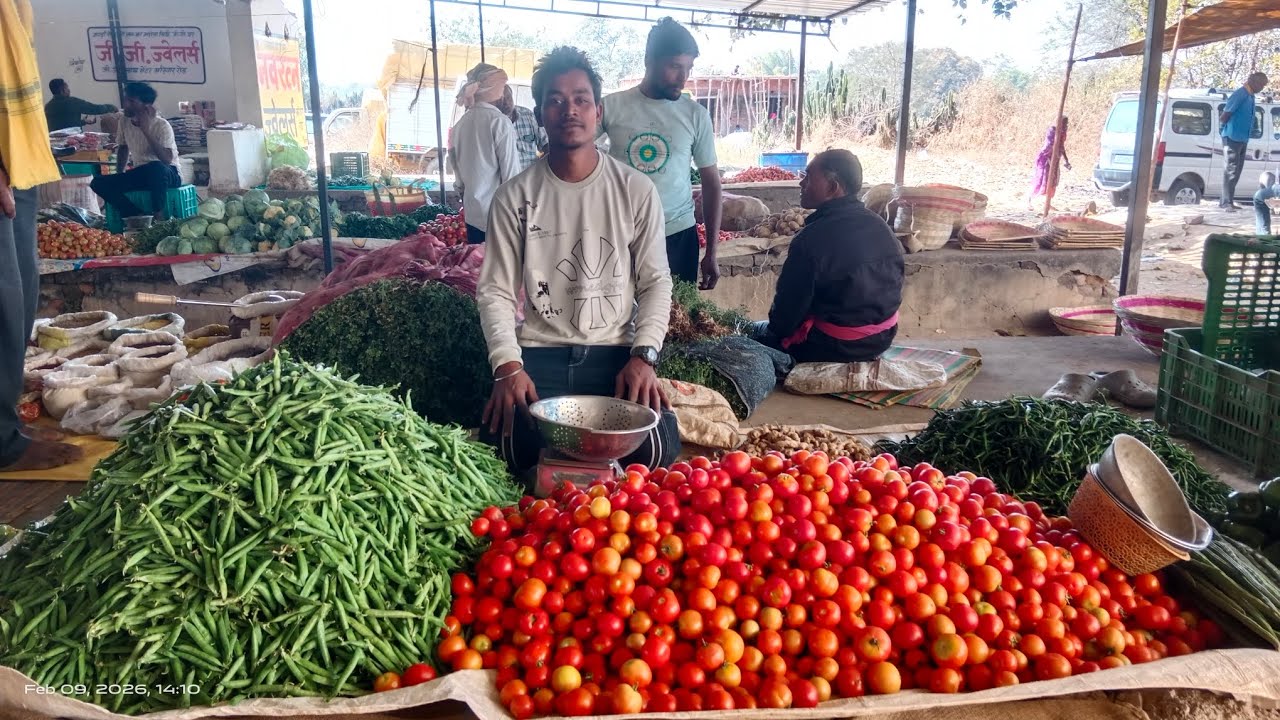 Tamatar matar selling #business #vlog #shorta 