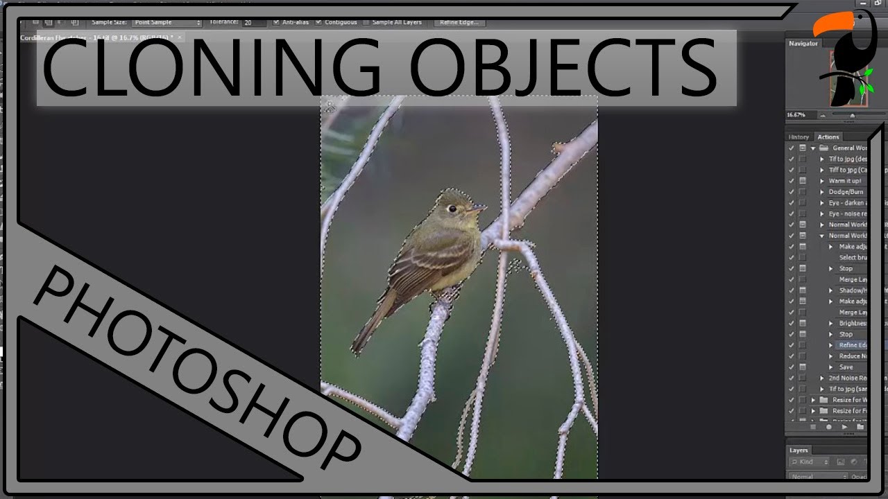 Nature Photography Workshop - Cloning in Adobe Photoshop