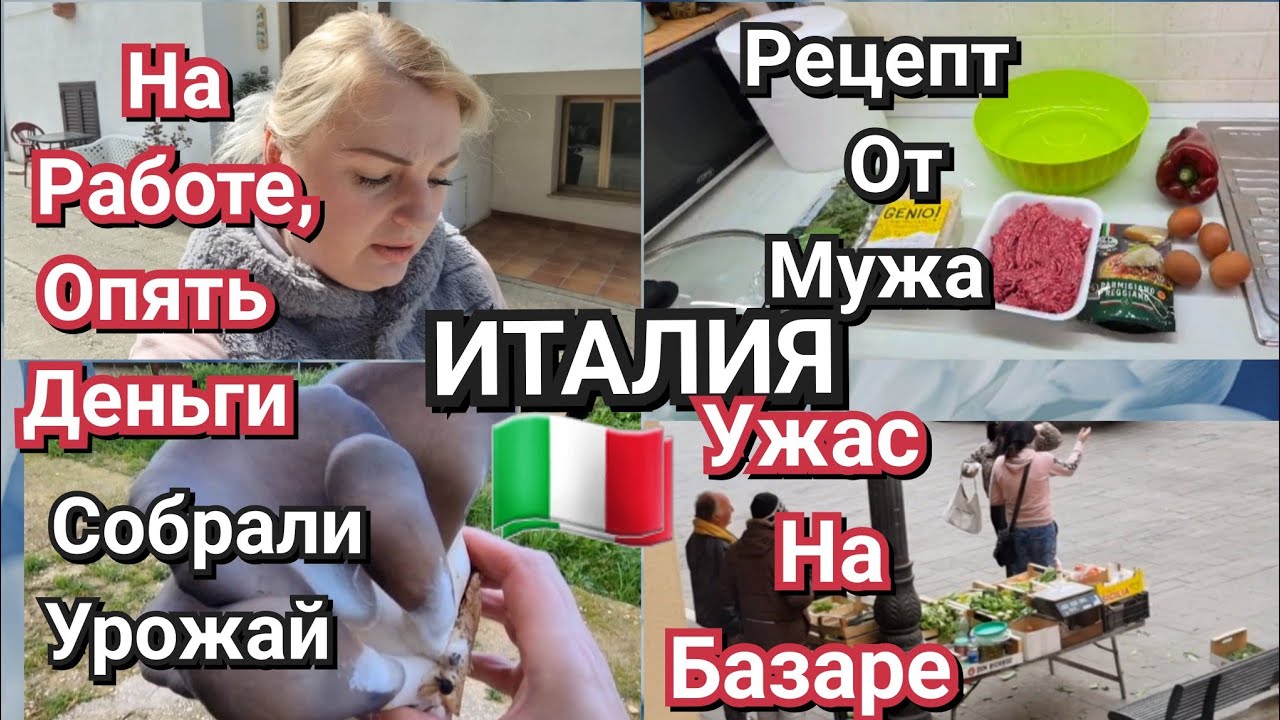 ИТАЛИЯ, УЖАС НА БАЗАРЕ, НА РАБОТЕ, ОПЯТЬ ДЕНЬГИ, СОБРАЛИ УРОЖАЙ 