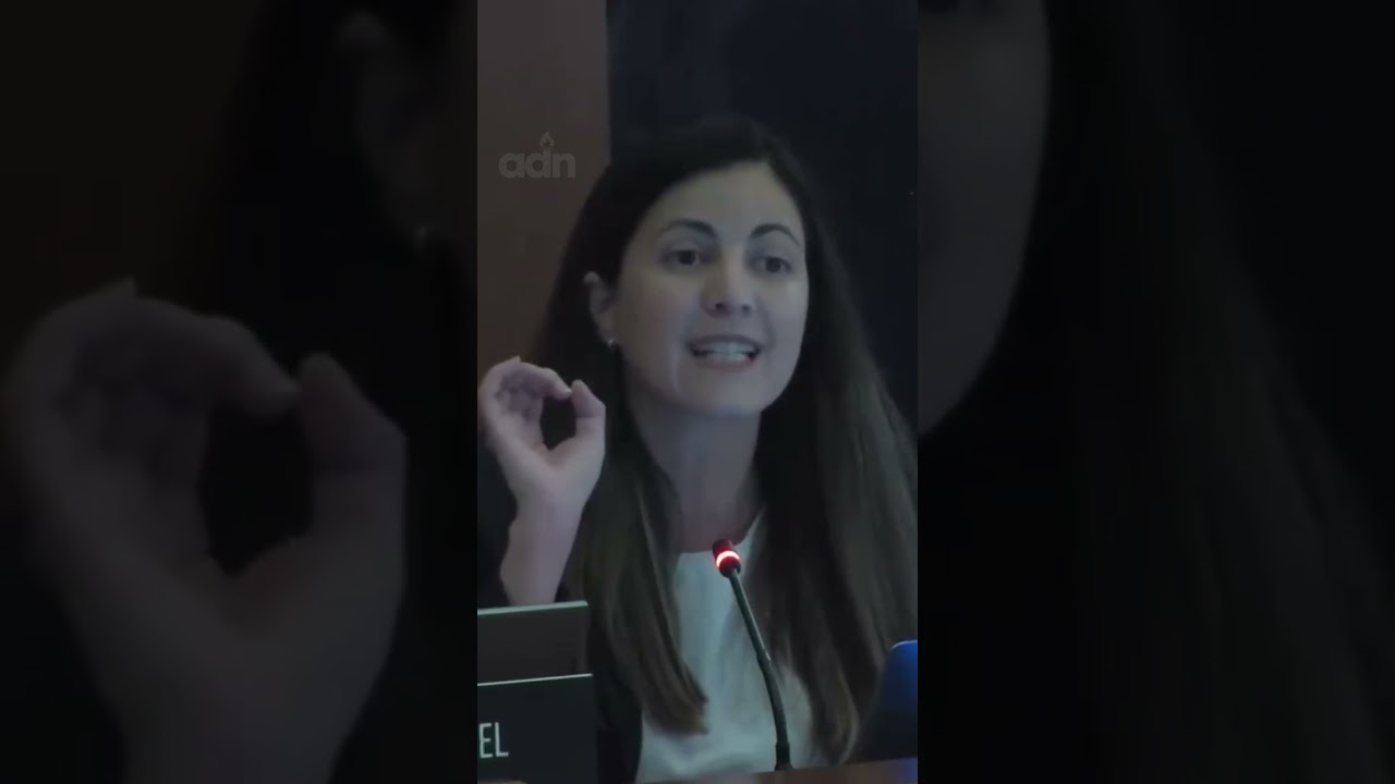 Rosa Mar&iacute;a Pay&aacute; en la OEA: 