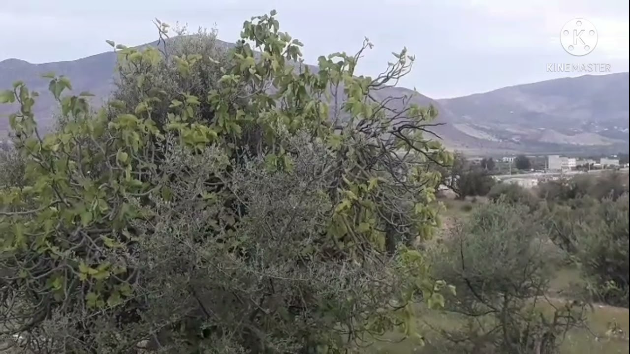 جولة رائعة في منطقة قاسيطة رمضان مبارك كريم