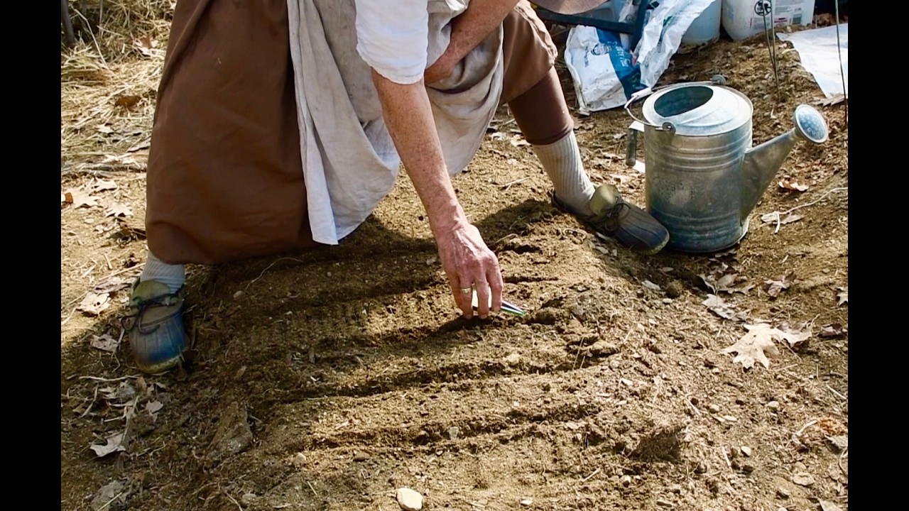 Repairing A Table, And Planting Greenhouse Seeds