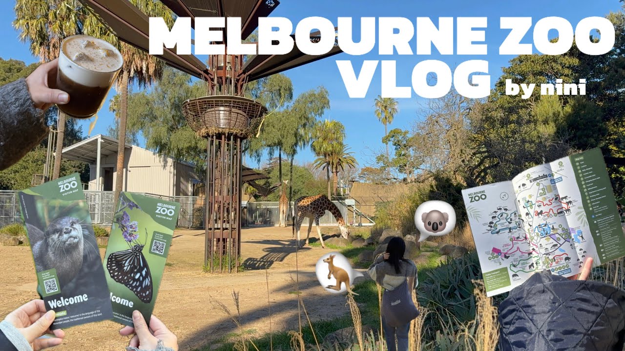 【メルボルンVLOG】メルボルンズーに行って念願のコアラとカンガルーとご対面したわよ🤸‍♂️🩵🇦🇺