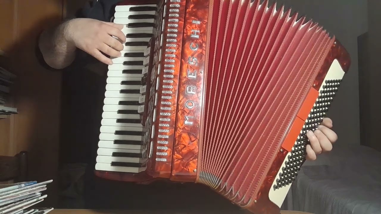 1882 #Valzer I Pattinatori Les Patineurs Emile Waldteufel – #Fisarmonica #Accordion 
