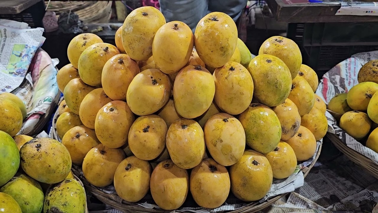 Bought the best  Of Hilario Mangoes of Goa a vanishing variety from Nerul at the CCP market Panaji