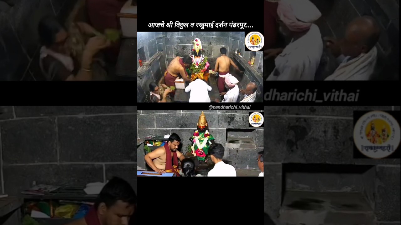 📍Shri Vitthal Rukmini Darshan Pandharpur....🙏🚩|| 25 /06/2024 || #vitthaldarshan