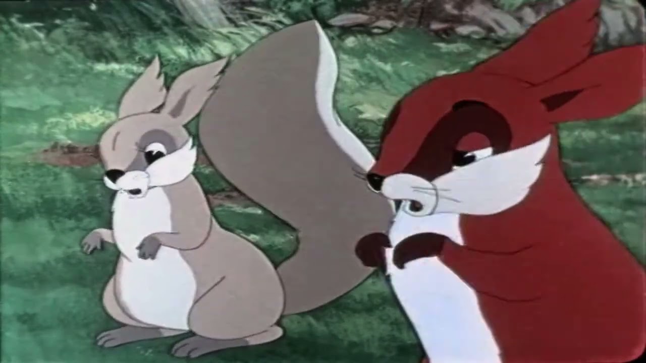 Бобрёнок Чука 1953