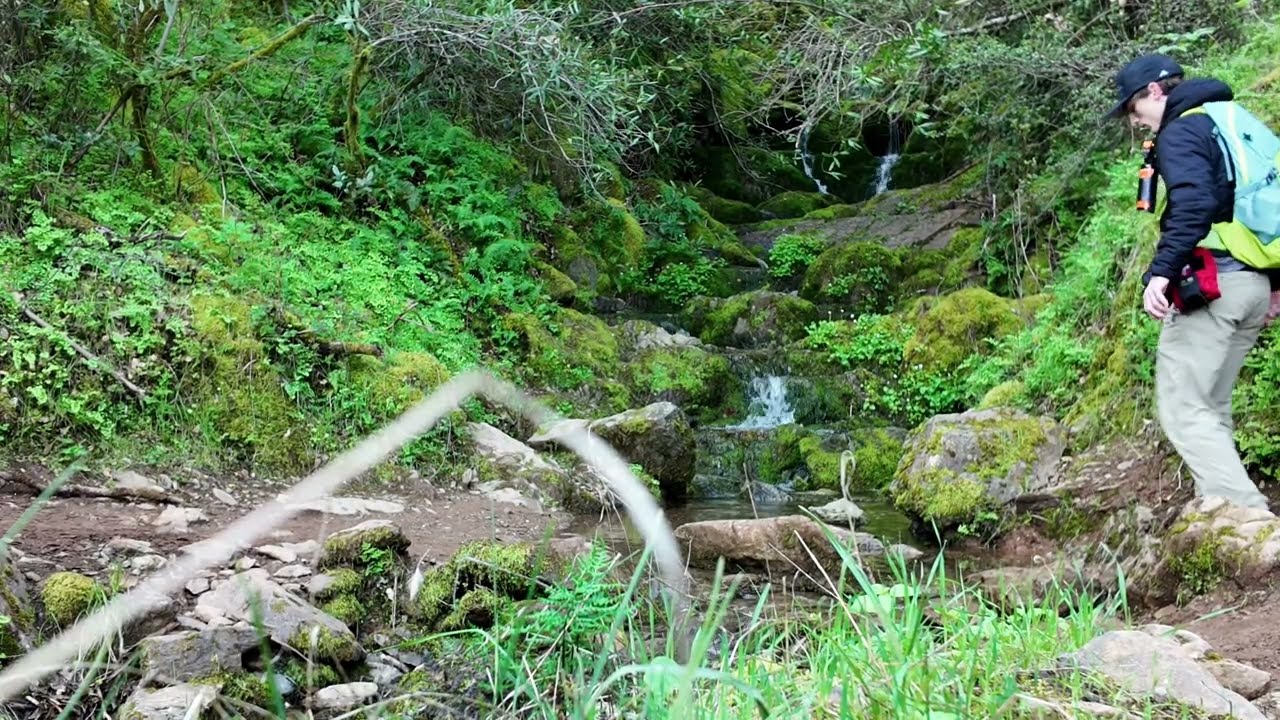 Scenic Hiking Views of 2025 Part 1