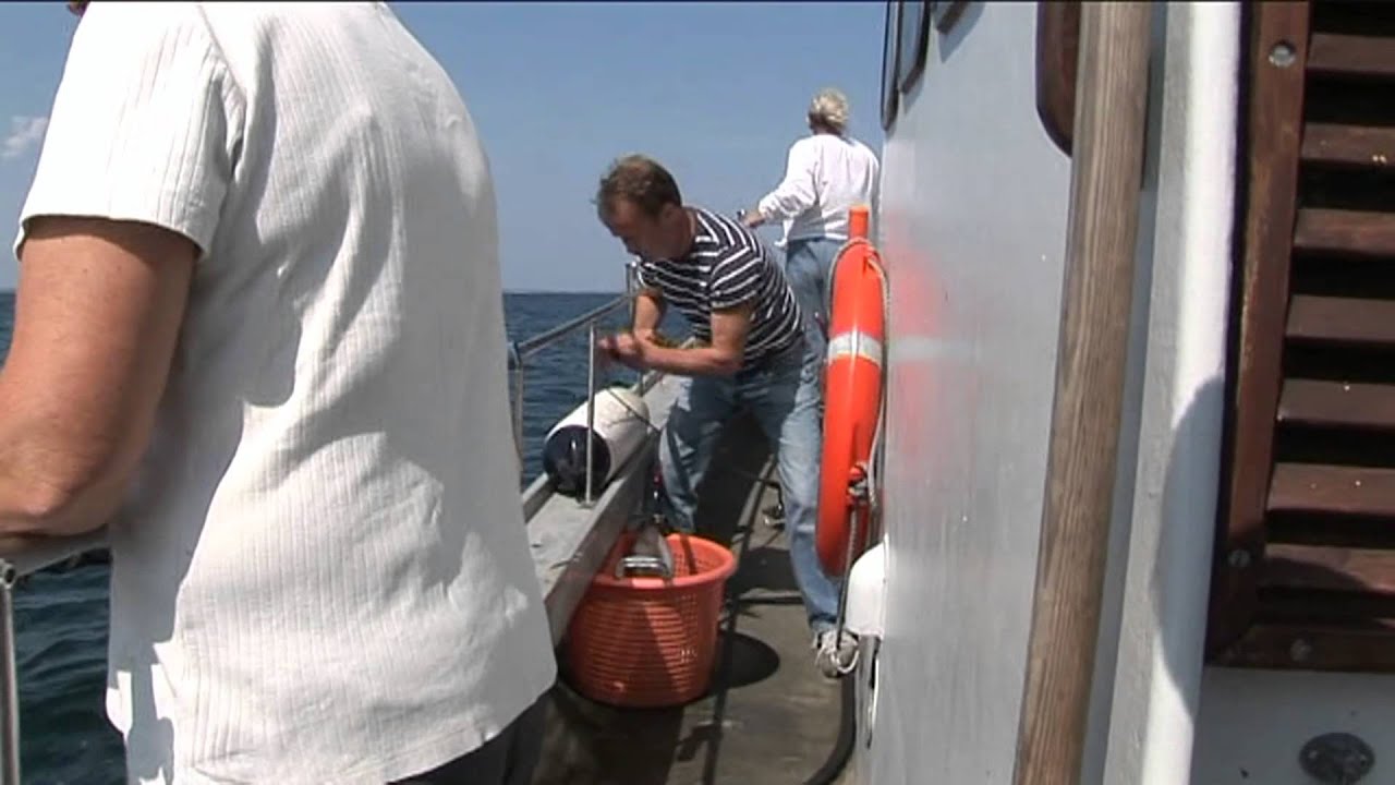 Fisketur onsevig havn