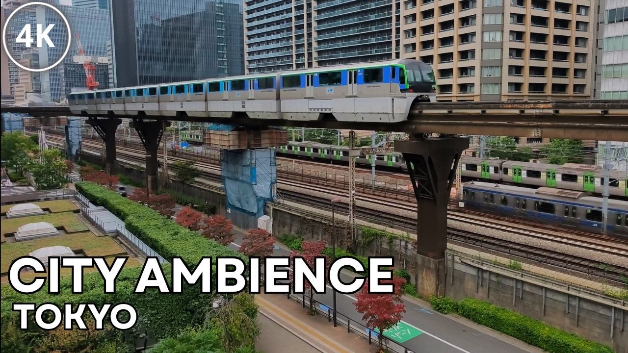 Tokyo Monorail & Shinkansen Ambience | Busy Train Sounds & Railroad Views (1 Hour)