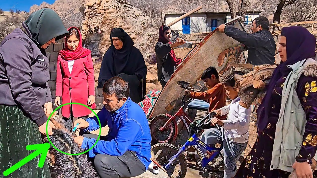 A terrible disease among farm animals and the efforts of nomads to combat it