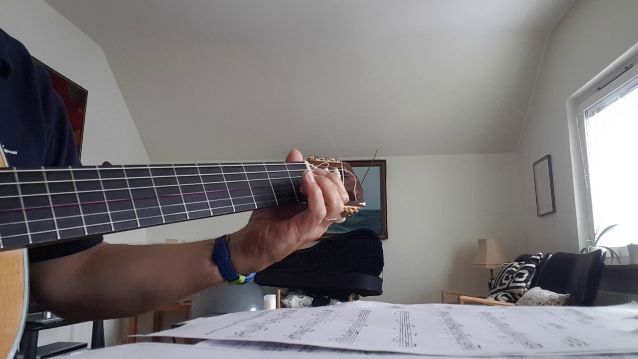 My  Way. J.Revaux/C.Francois/G.Thibaut. arr. C. Hartog played by Rolf Ranehov