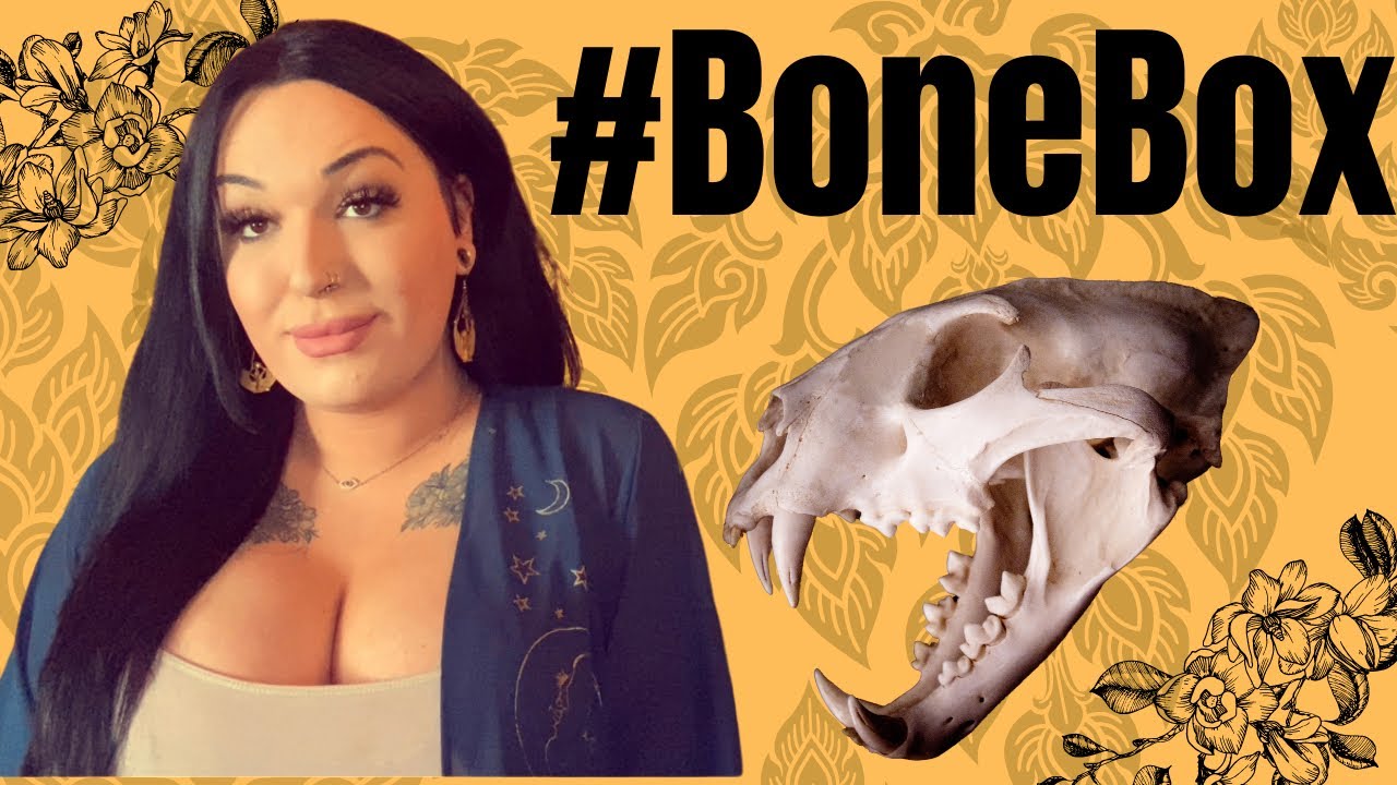 #BoneBox - SkullsUnlimited | Necromancy & Witchcraft | Unboxing