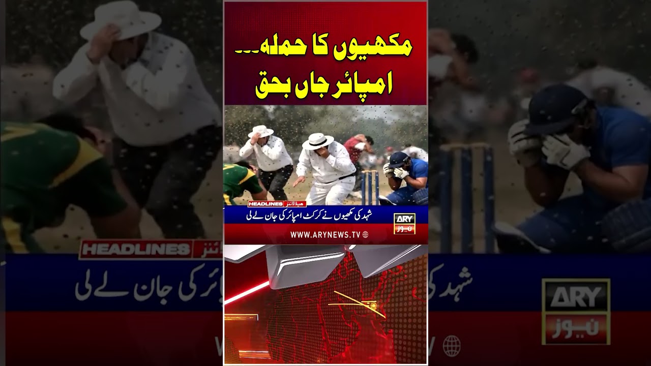 Latest News Headlines #headlines #arynewsheadlines #latestnews #youtubeshorts #shorts #arynews