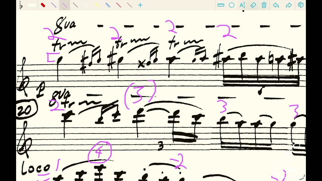Sleeping Beauty Violin Solo