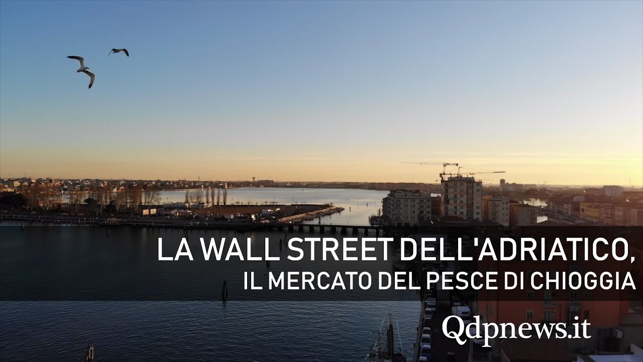 Alla scoperta della Wall Street dell'Adriatico: il mercato del pesce di Chioggia
