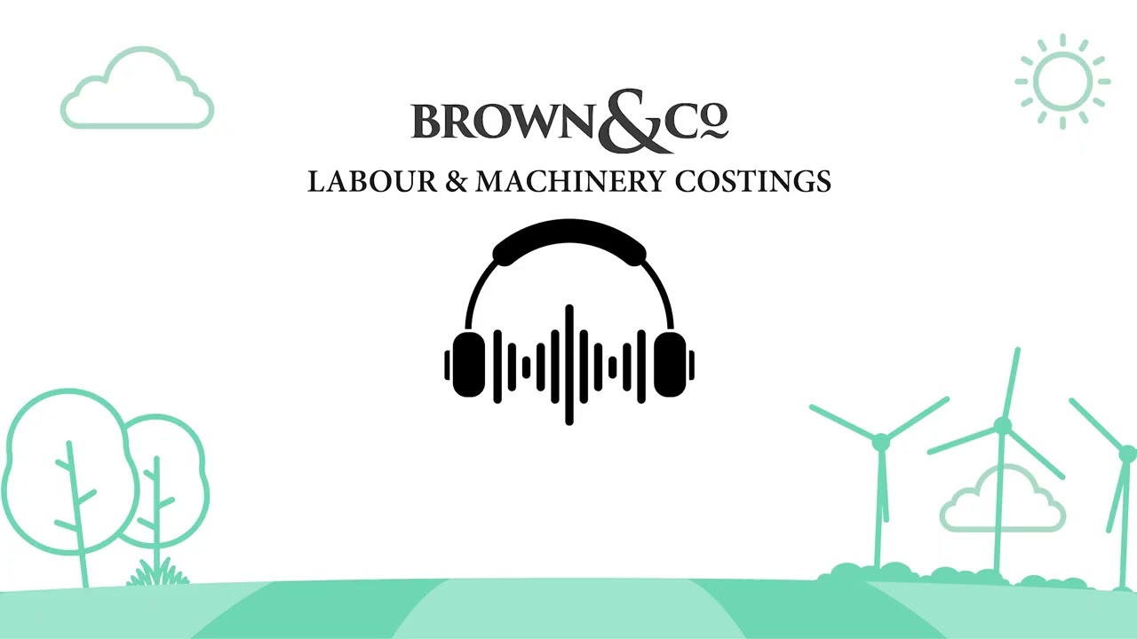 Расчет стоимости рабочей силы и оборудования #подкастыbrown&co #обновлениесельскойжизни