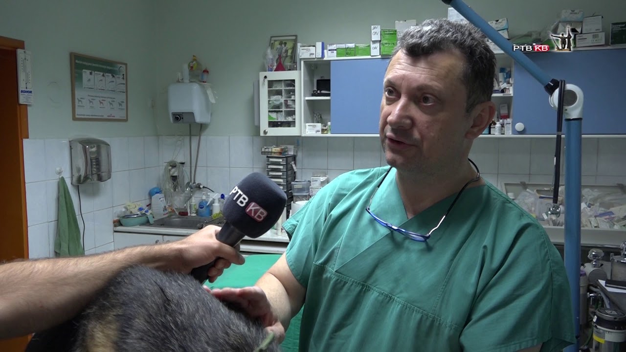 Prilog   RTVKV   Veterinarska ambulanta Srbovet