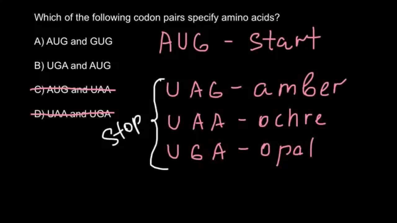 Which of the codons specify amino acids?