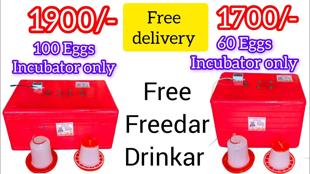 50/60/100 Eggs Incubator very low price Home made Incubator