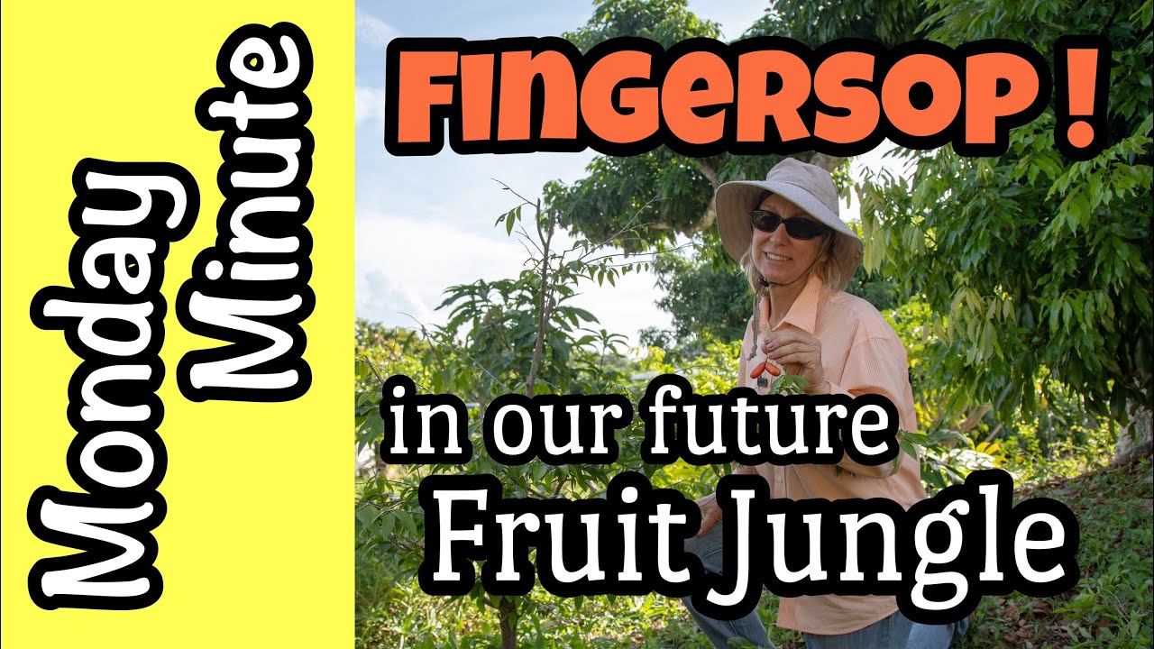 Monday Minute- Fingersop in Our Future Fruit Jungle