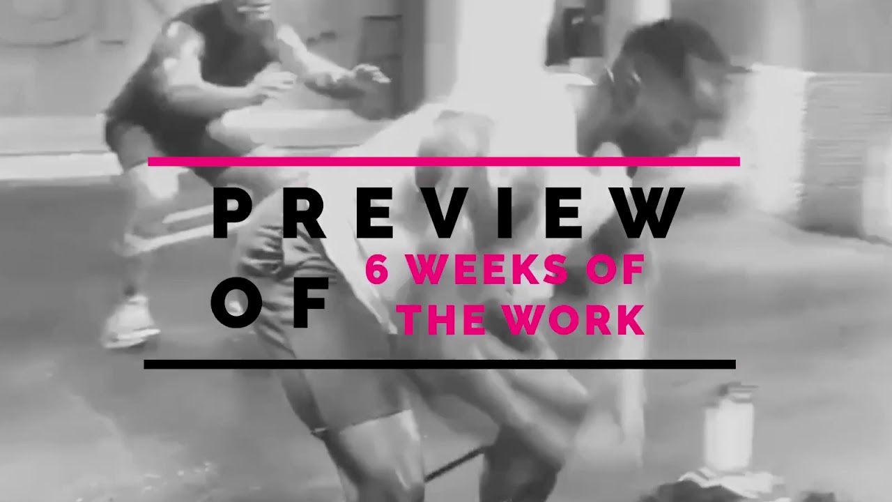 PREVIEW of 6 Weeks of the Work!