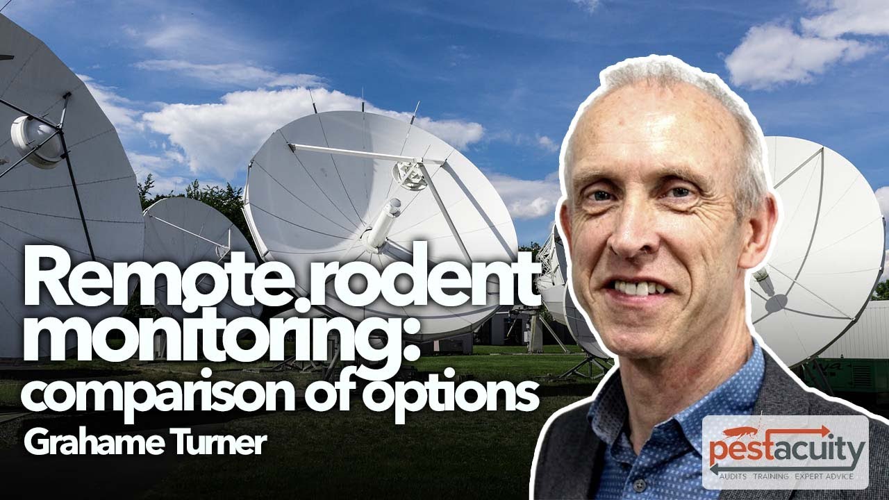 Remote rodent monitoring – comparison of options
