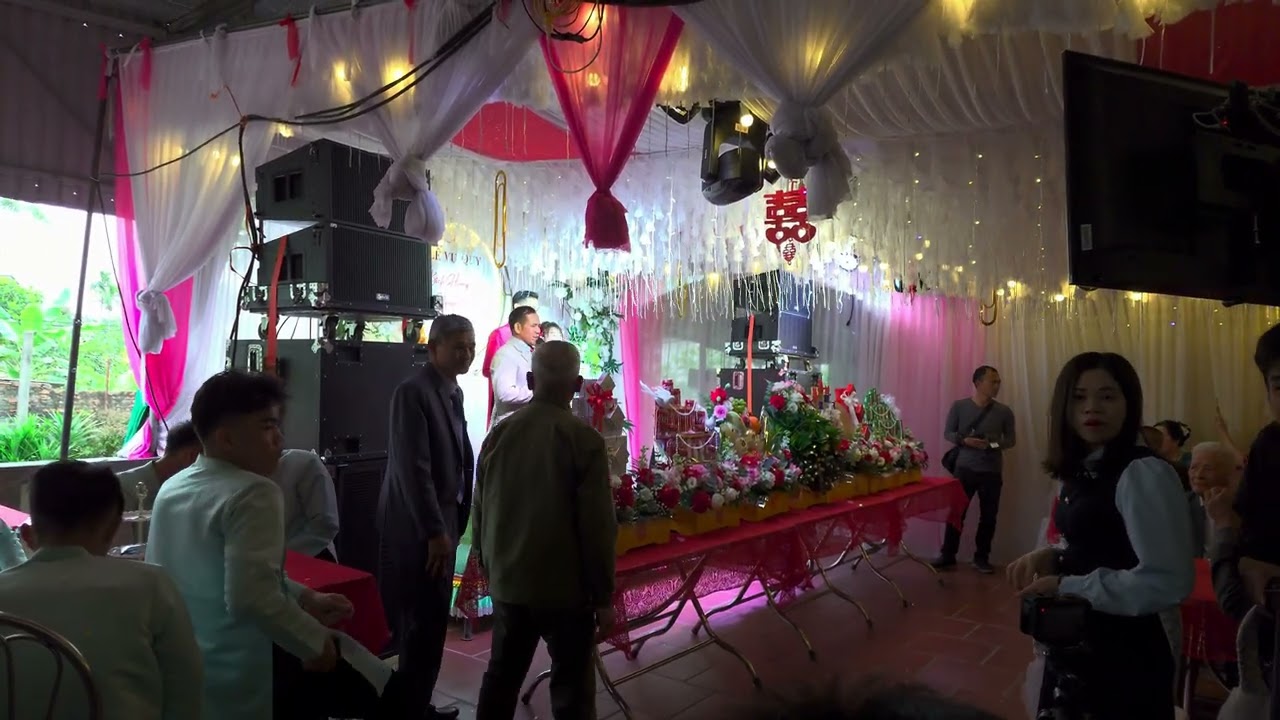 VideoPro 20260131 143032
