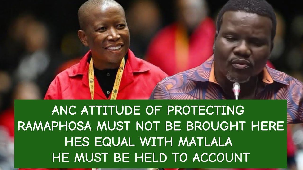 EFF MALEMA ARGUES THAT RAMAPHOSA IS BEING TREATED WITH SOFT GLOVES AS ANC WIN VOTES
