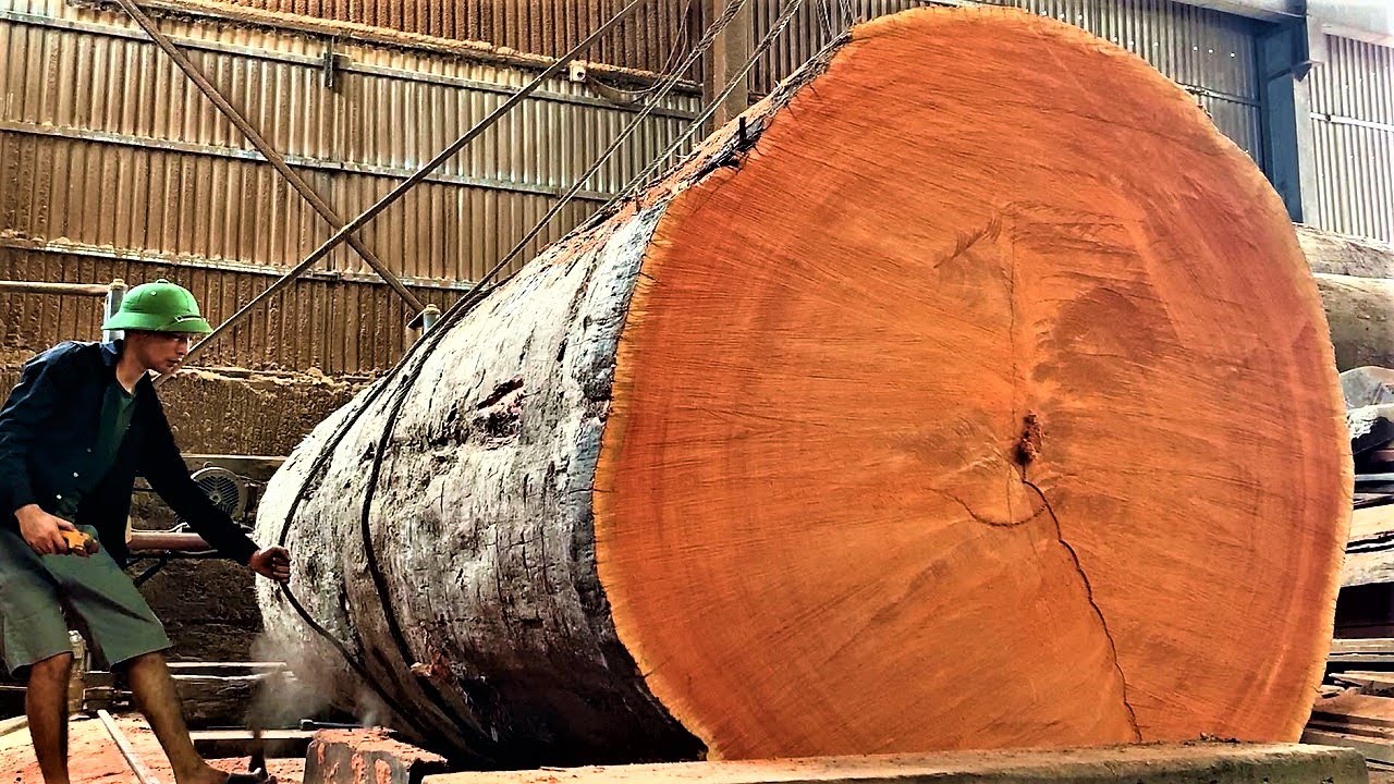 Amazing Sawmill Wood Cutting - Sawing Super Large Trees With Giant Saws Attracts Millions Of Viewers