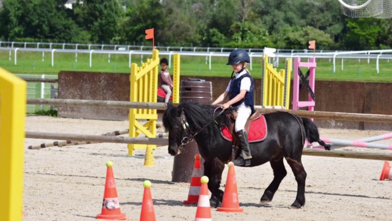 Concours d'Equifun PCDP