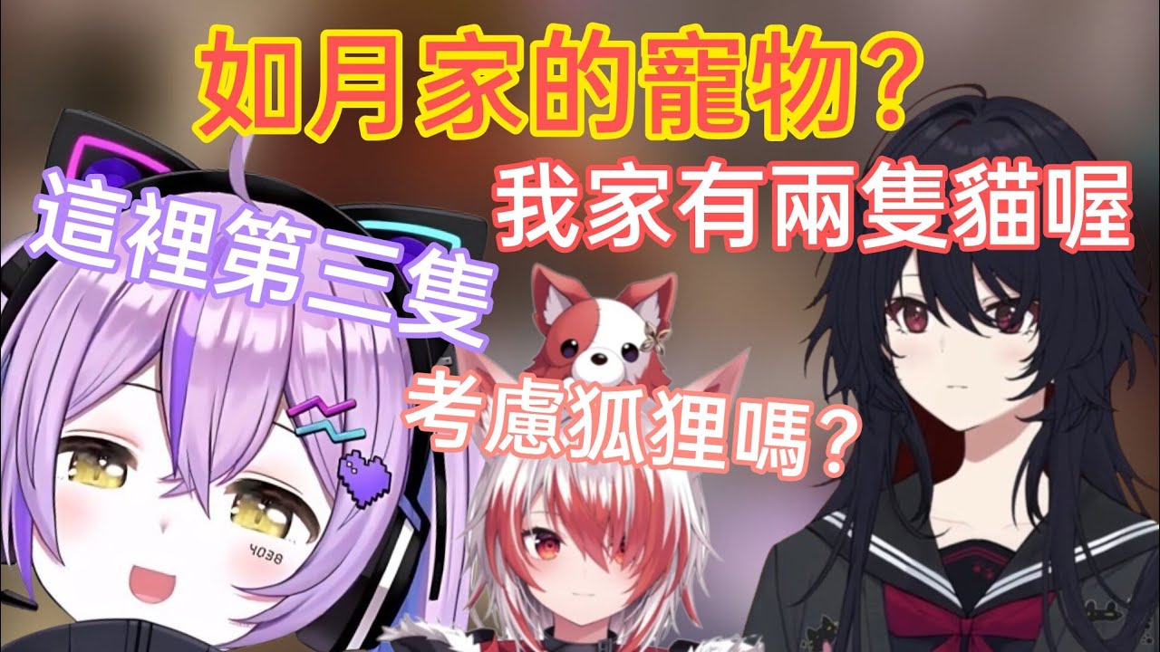【Vspo】想要成爲前輩家的貓 沒想到半路殺出一隻狐狸【V最協隊伍初次亮相】