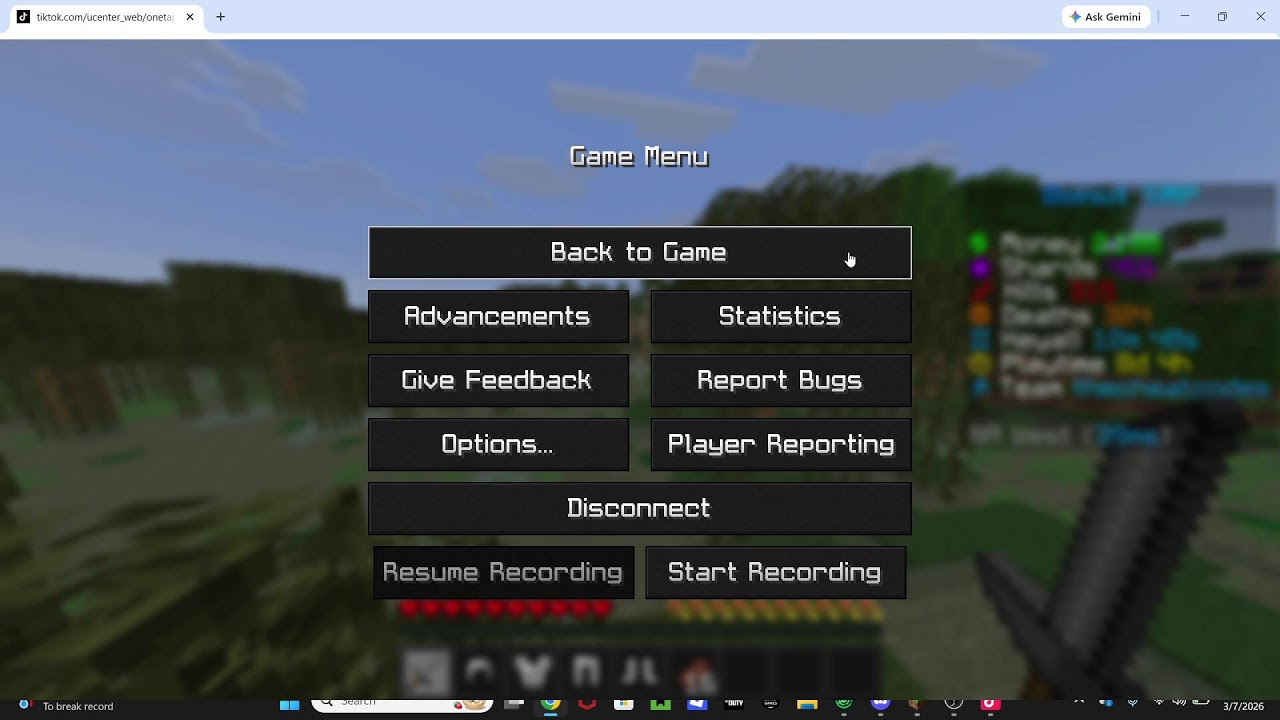 LIVE GAMBLING AND AUCTION ON DONUT SMP
