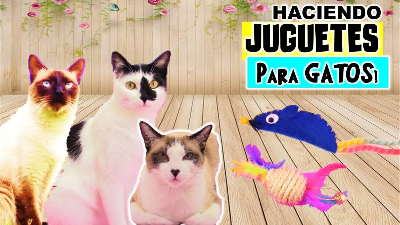 Como Hacer JUGUETES CASEROS para GATOS muy Fácil!!