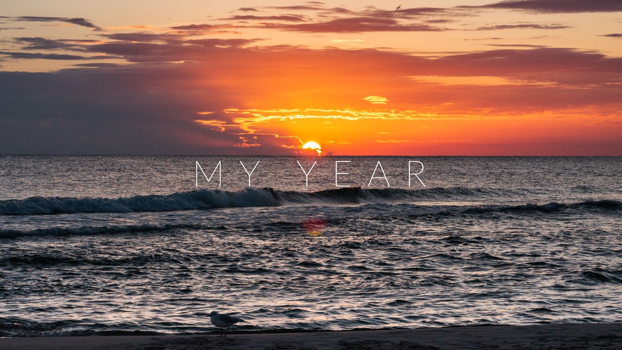 My Year 2020